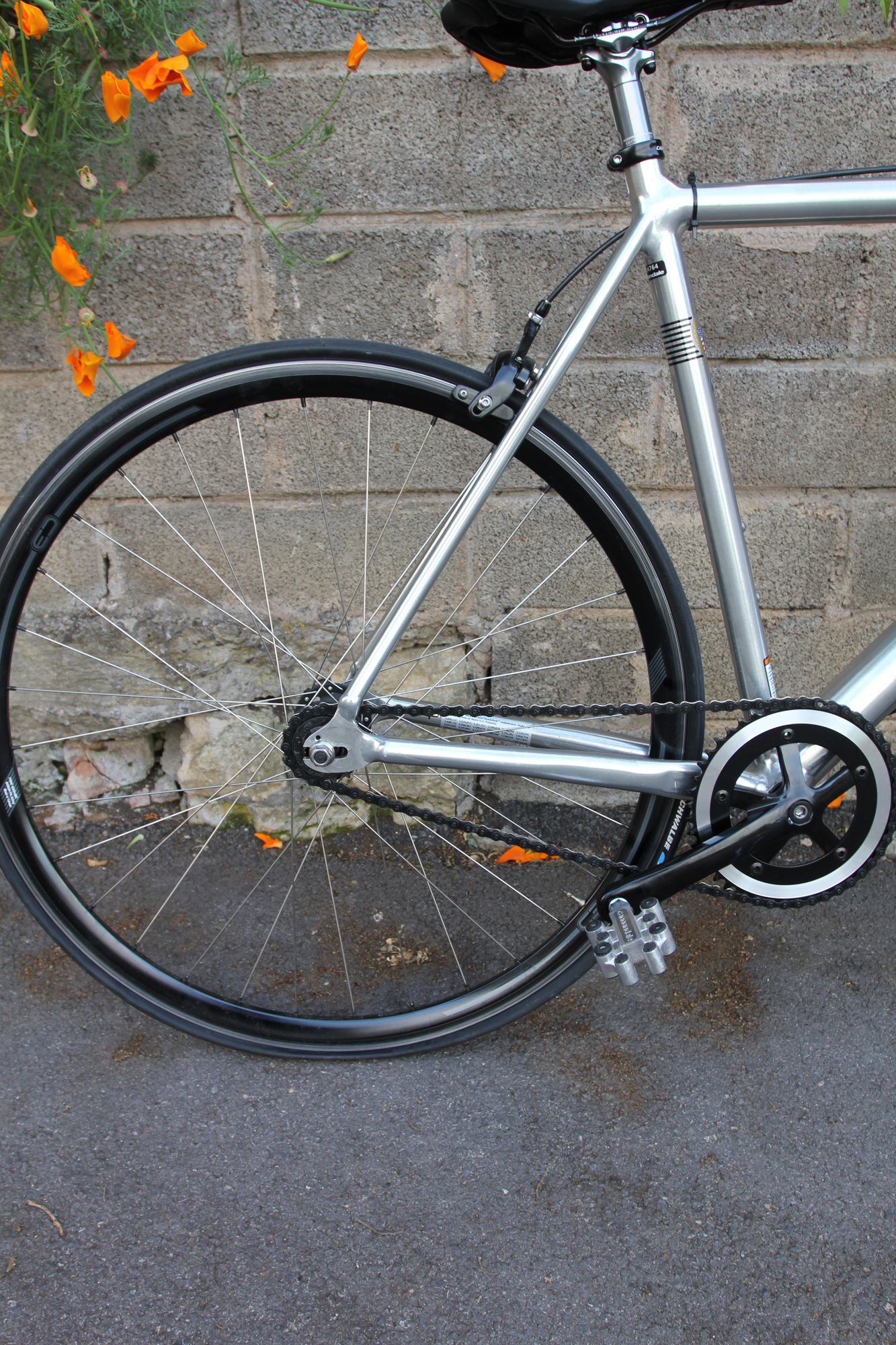 cannondale capo